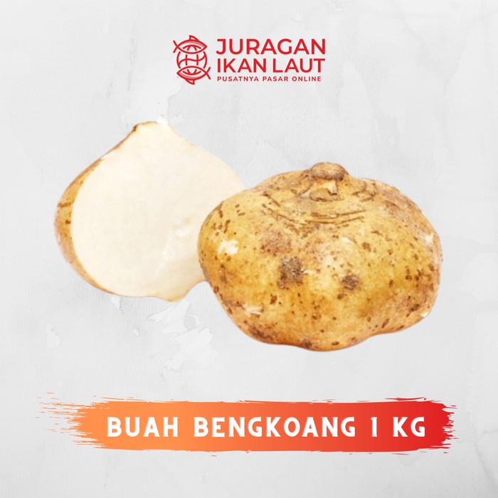 

Buah Bengkoang Manis Segar Berkualitas - 1 Kilogram