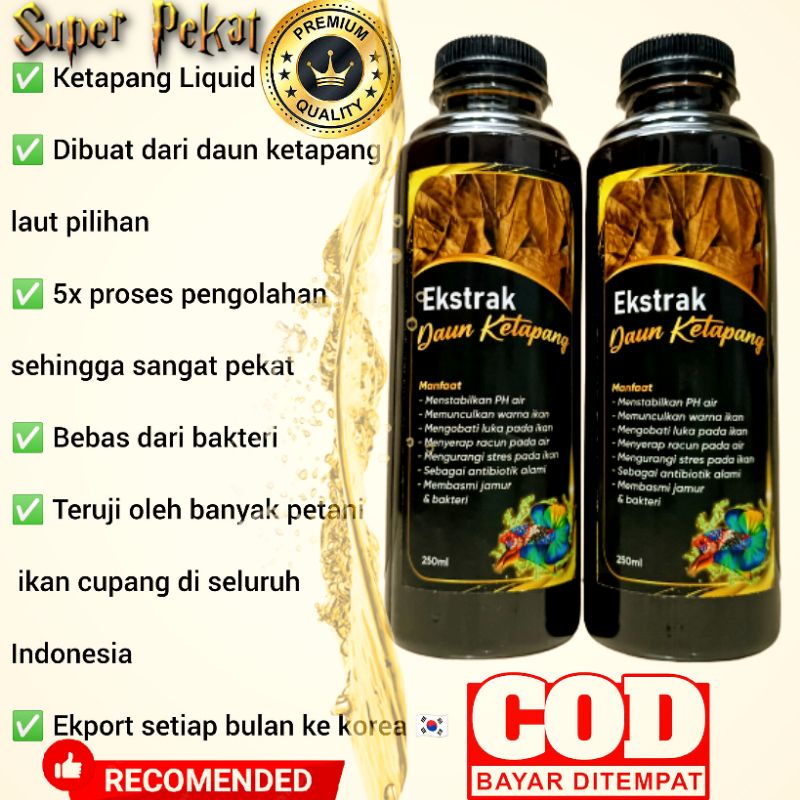 Jual Ekstrak Daun Ketapang Laut Olahan Ml Liquid Ketapang Premium Super Pekat Shopee