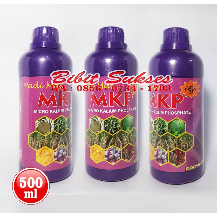 PADI MAS MKP Plus ZPT Pupuk Untuk Pemicu Pertumbuhan