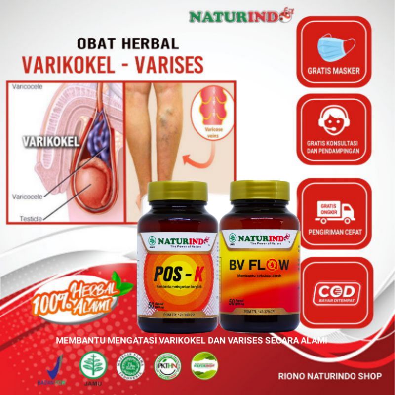 Obat Herbal Varikokel Turun Berok Verikokel Testis Bengkak Obat Testis Obat Varises Ampuh Herbal Var