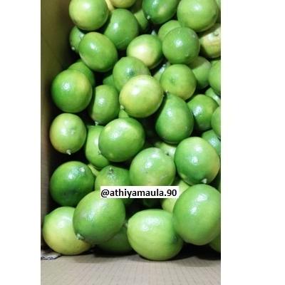 

RECOMENDED Jeruk Lemon California Organik 1 kg ( 4-8biji) 890