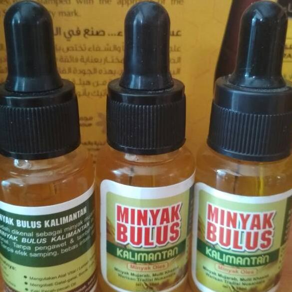 Promo baru--MINYAK BULUS KALIMANTAN minyak mujarab Multi Khasiat
