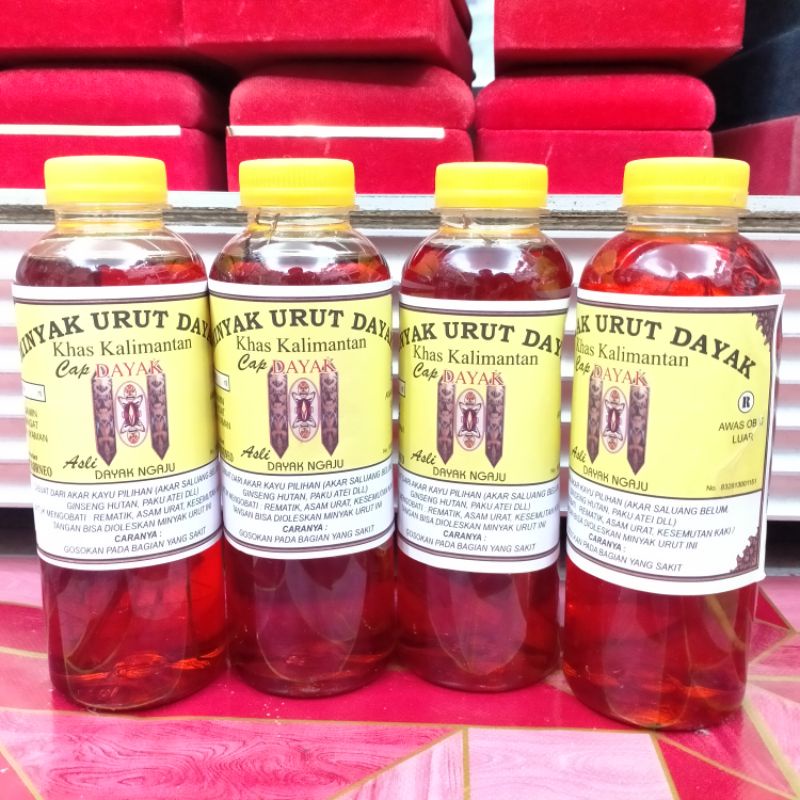 MINYAK GOSOK URUT DAYAK KHAS KALIMANTAN MINYAK URUT AMPUH