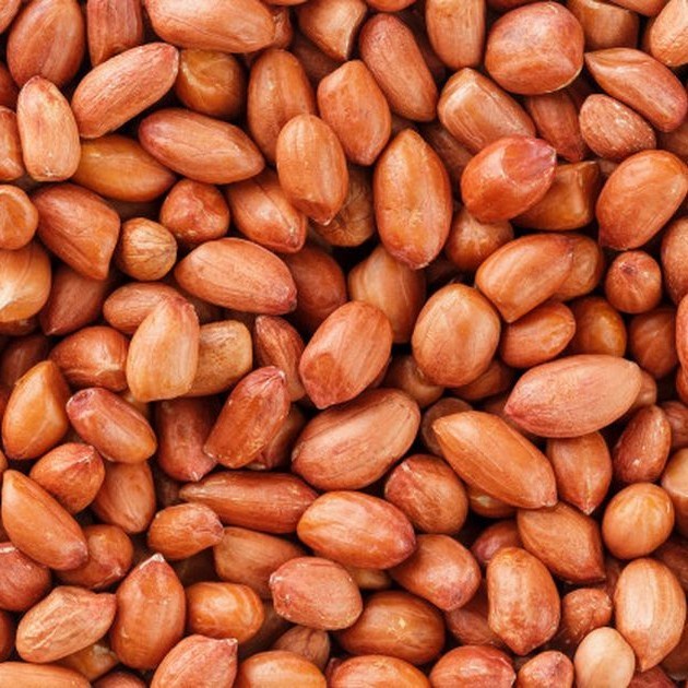 

kacang tanah mentah 1 kg Kualitas terbaik