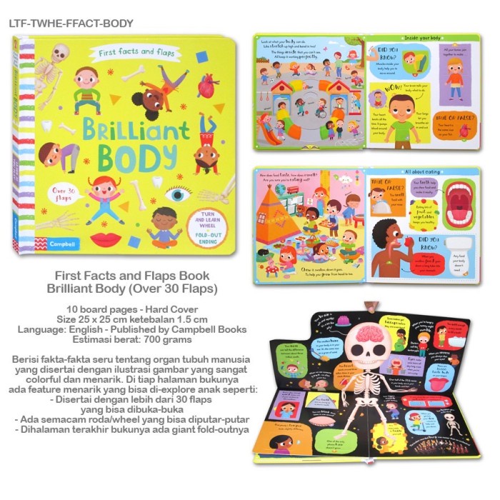Campbell First Facts And Flaps Brilliant Body
