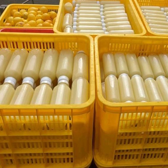 

Hanya Di Sini SARI LEMON 1 LITER MURAH - JUS DIET/DETOKS .,.,