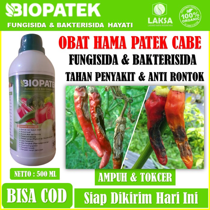 (PROMO MURAH) Pupuk Organik Cair BIOPATEK Pestisida & Bakterisida Hayati Obat Patek Tanaman Cabe - O