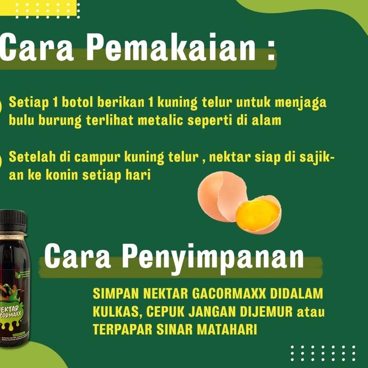 Termurah nektar gacormaxx untuk burung kolibri