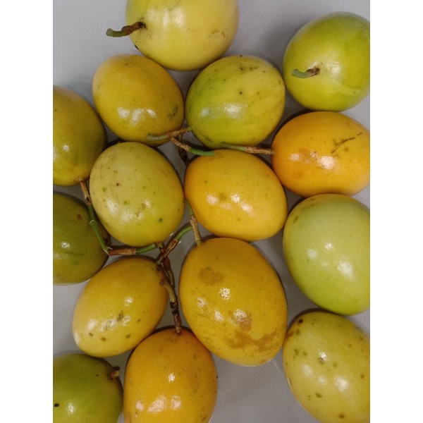 

Buah markisa segar 2kg