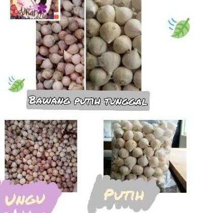 

limited STOCK!1kg Bawang Lanang/Bawang putih tunggal import|RA6