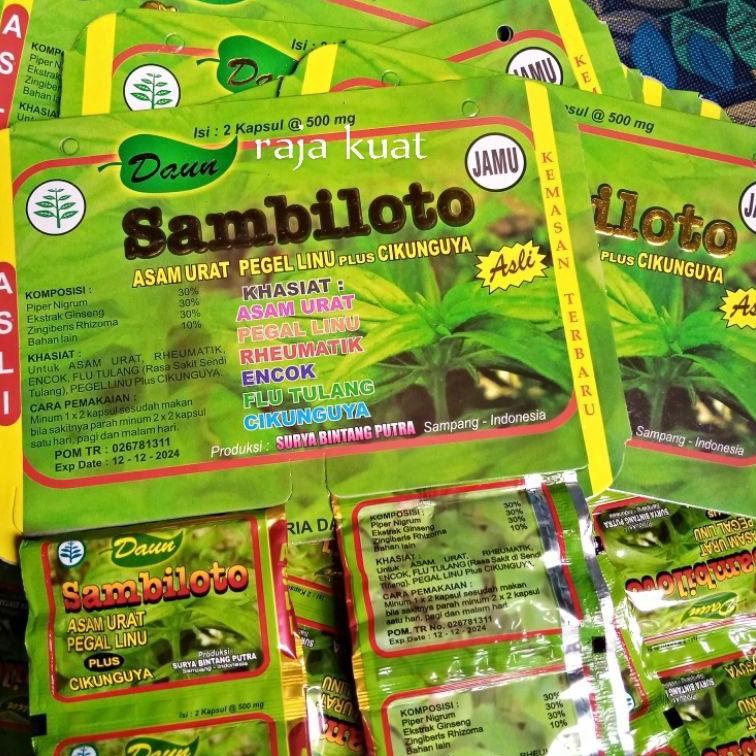 

Free Ongkir Daun sambiloto herbal jamu