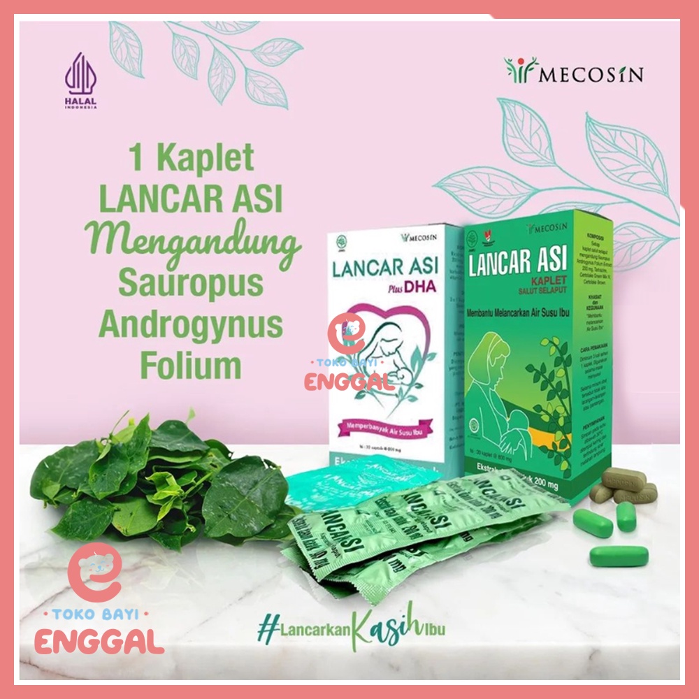 Lancar Asi Plus DHA Asi Booster Ekstrak Daun Katuk Ibu Menyusui