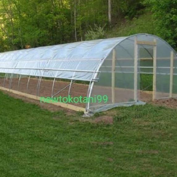 ↳ Plastik UV 14% lebar 3 meter tebal 200 micron ECERAN untuk green house atap penjemuran atap kolam ひ