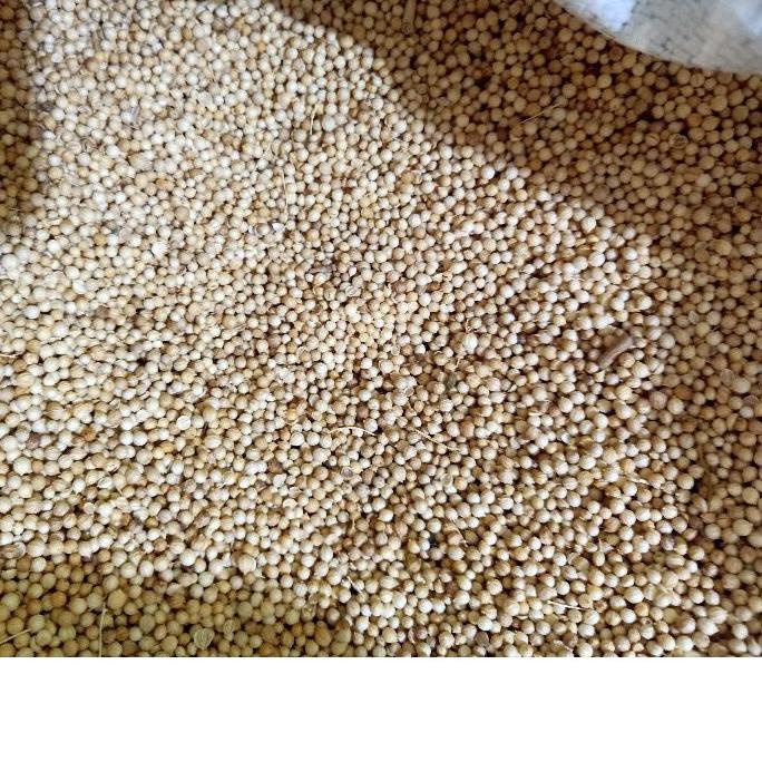 

✨Promo✨ Hari Ini Ketumbar Putih 1KG Kilo Fresh grosir