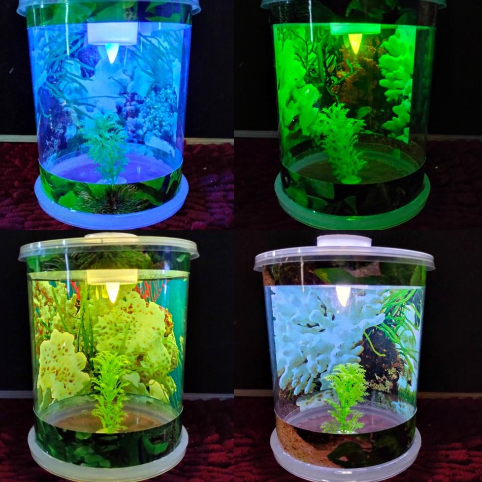 PSE.22De22м ‣ Aquarium Mini Tabung Kecil Lengkap dengan Lampu LED (TBG12)