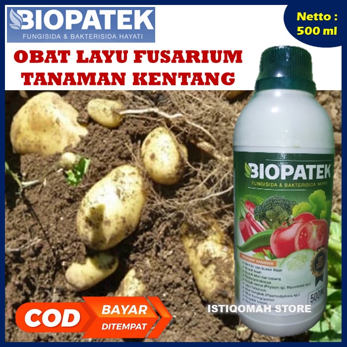 BIOPATEK 500ML Fungisida Hayati Obat Hama Mengatasi Layu Fusarium pada Tanaman &amp; Buah Kentang Paling Ampuh Bisa untuk Semua Jenis Tanaman, Sayuran, Buah-buahan, Palawija, Tanaman Hortikultura, Tanaman Perkebunan, Tanaman Hias / Bunga, dll Paling Ampuh