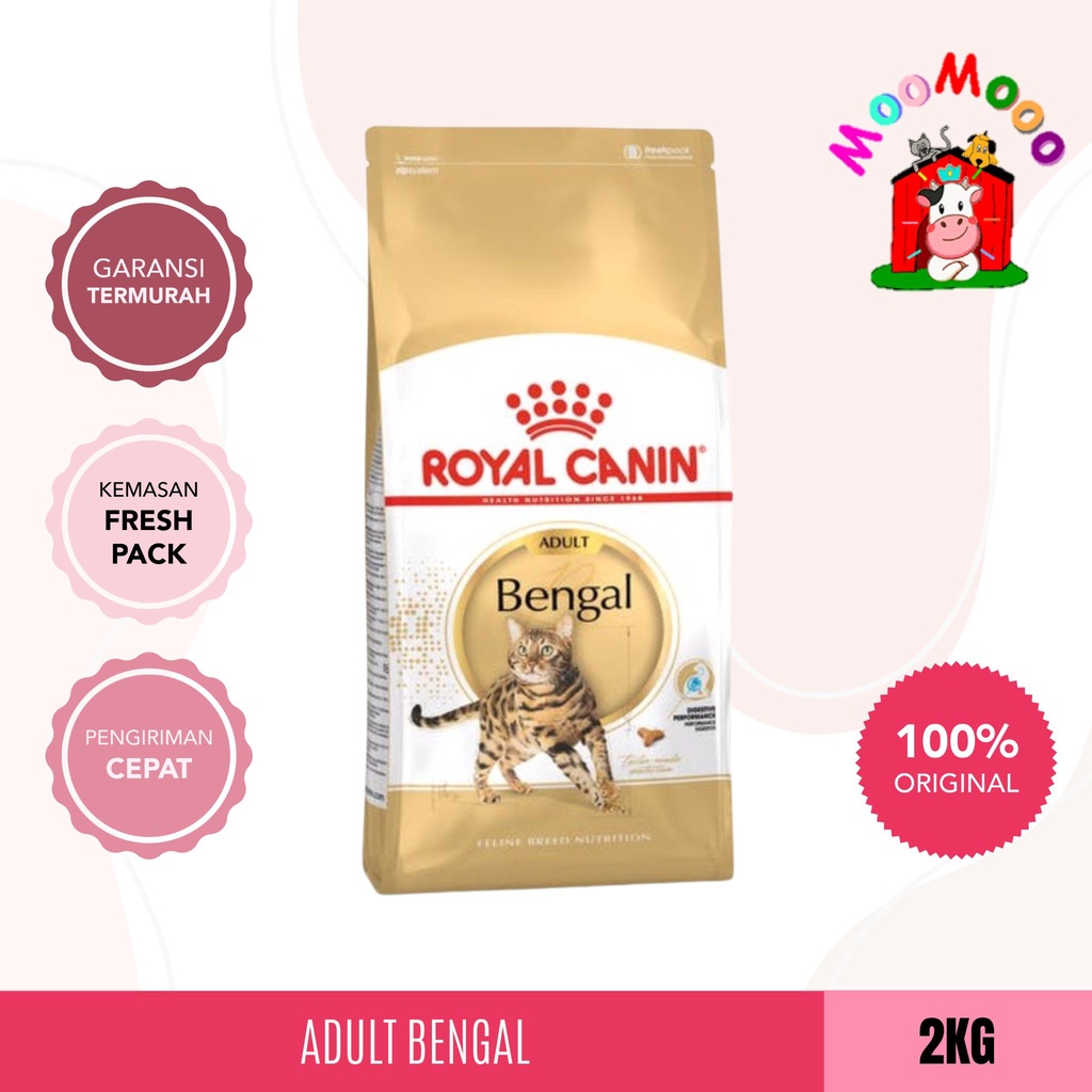 Royal Canin Adult Bengal 2Kg -Makanan Kucing