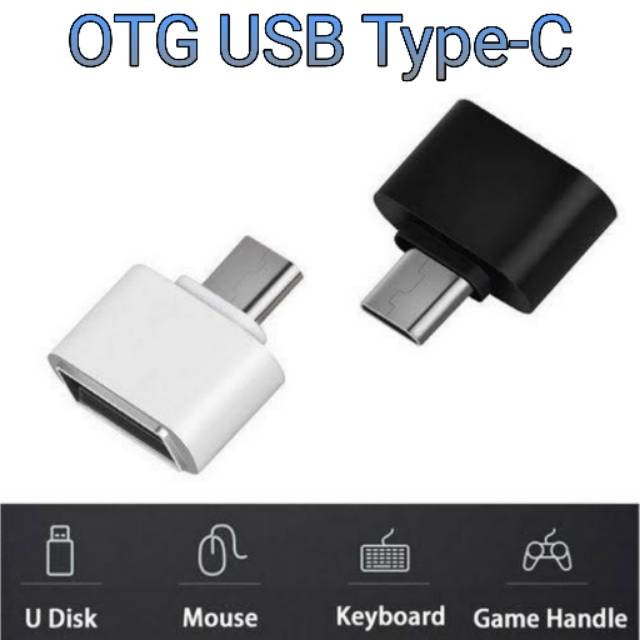 SUKSES- OTG Mini Non Kabel MICRO USB Type C Adapter OTG Type C - MICRO