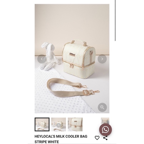 Heylocal Mom Series Milk Cooler Bag