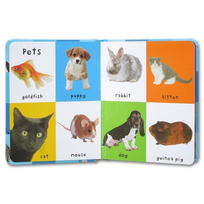 FIRST 100 ANIMAL BOARD BOOK