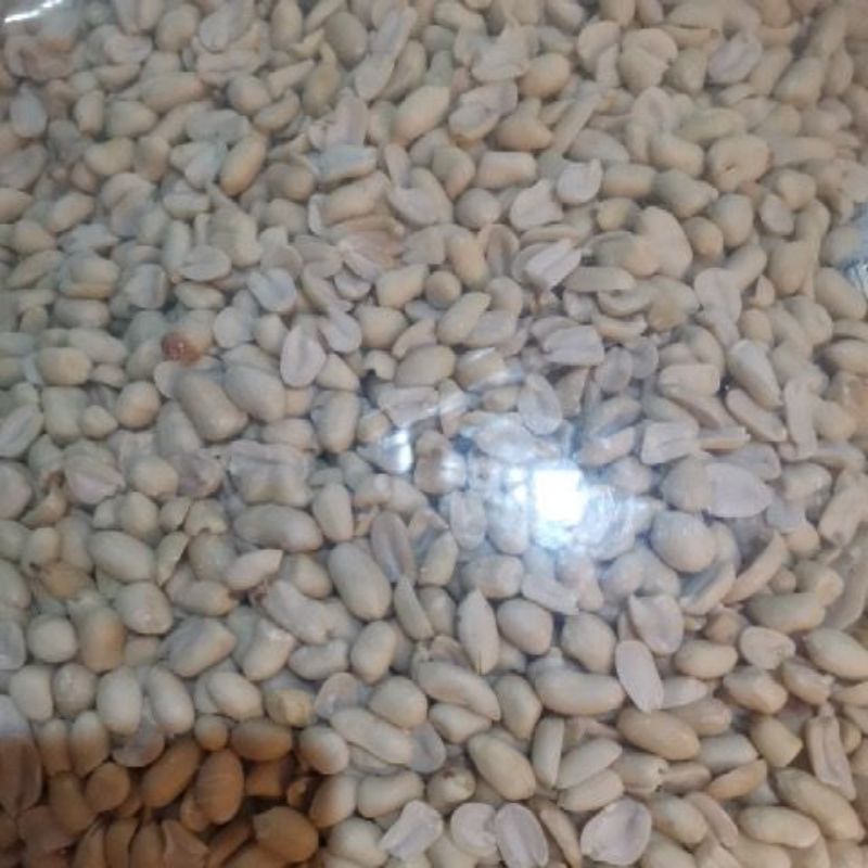 

KACANG KUPAS UKURAN SEDANG 500G