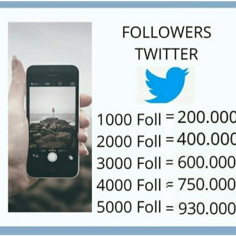 FOLLOWERS TWITTER