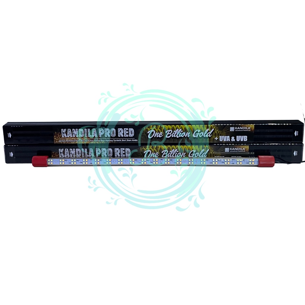 KANDILA PRO RED ONE BILLION GOLD 800 Lampu Tanning Ikan Arwana Arowana LED Taning Aquarium