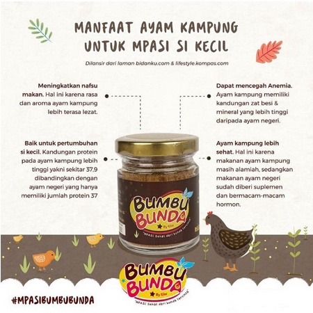 Bumbu Bunda Kaldu Sapi Ayam Kampung dan Ikan Tuna 50Gr - Kabakids Store