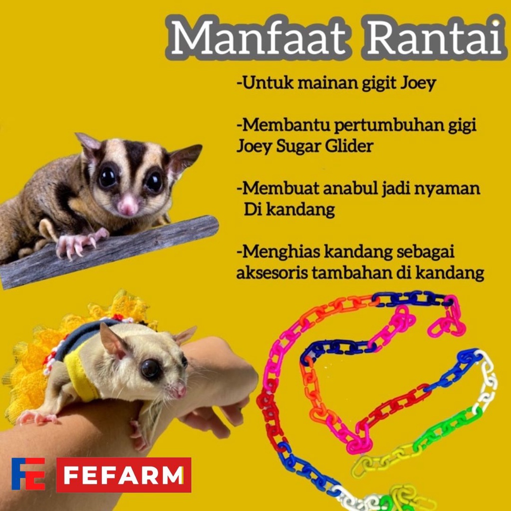 Mainan Sugar Glider Rantai Oval Penghias Kandang FEFARM