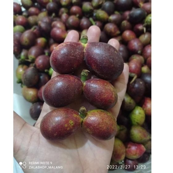 

⚡GROSIR⚡ MATOA 1KG MANIS GRATIS ONGKIR pengiriman instant FREE PACKING & FREE GIFT
