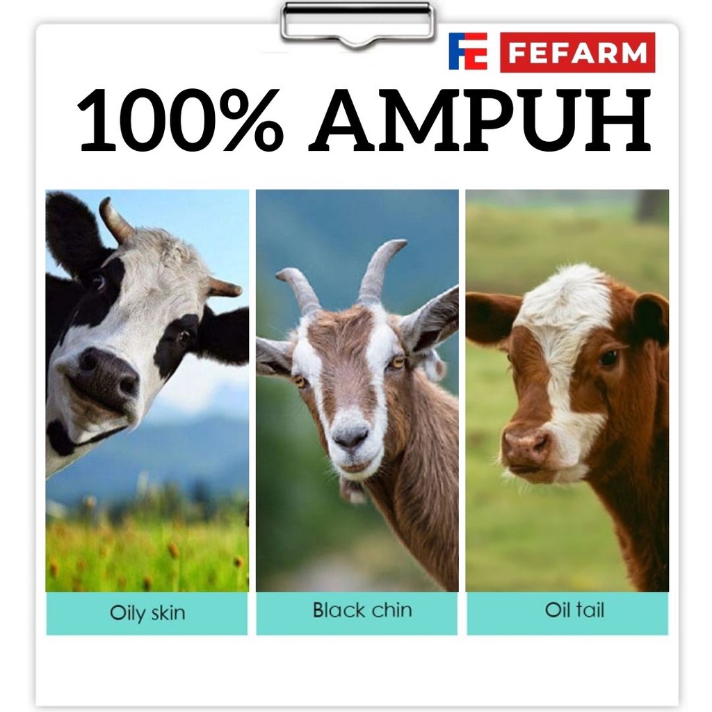 SAMPO KUDA SAPI KAMBING SHAMPIKA SHAMPO PENGHILANG KUTU PARASIT CAPLAX TUNGAU FEFARM