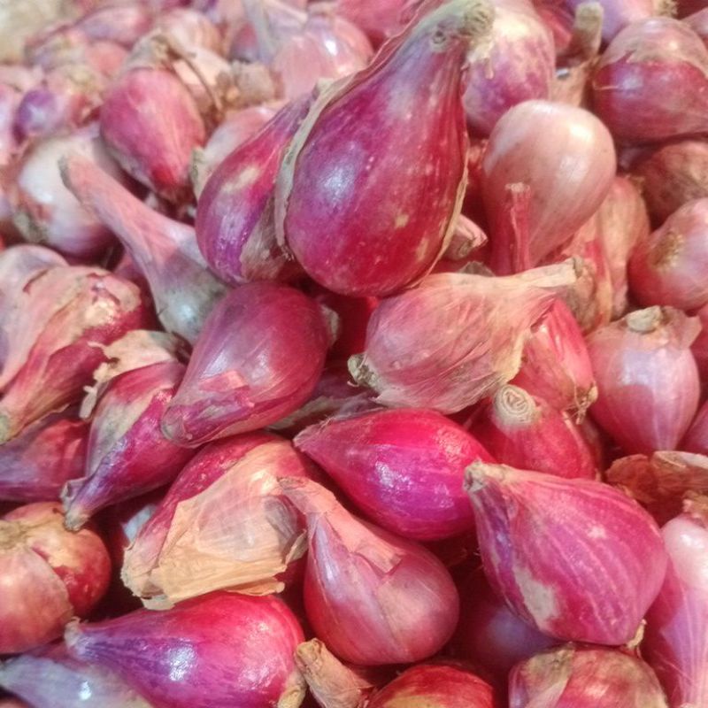

Bawang Merah Brebes Pilihan Kualitas OK Kemasan 1 Kg