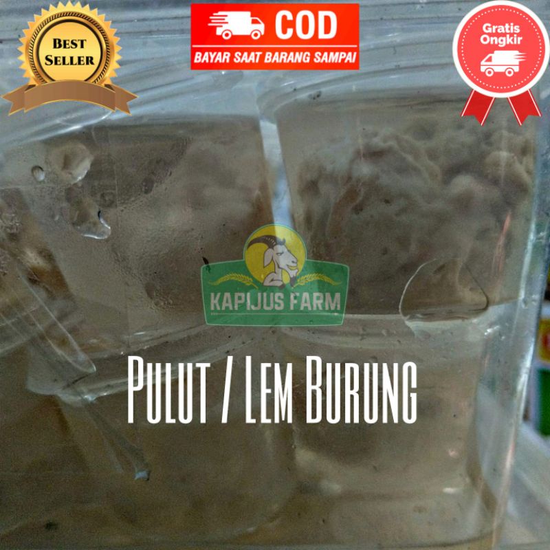 Lem Burung / Pulut Burung Super Lengket / Lem Jebak Burung Murah Berkualitas