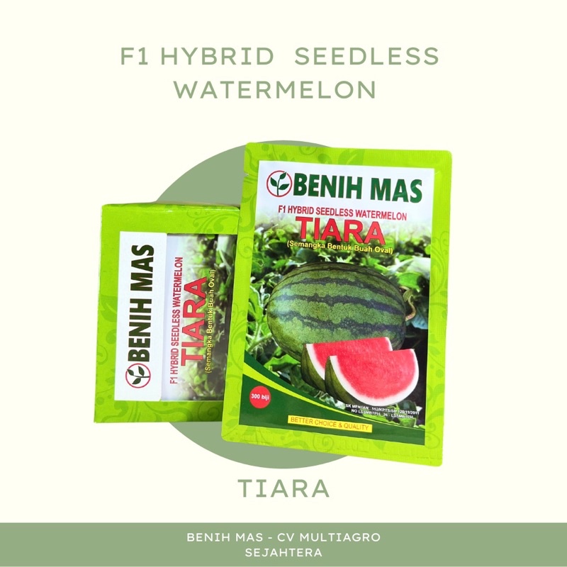 TIARA Benih Semangka Non Biji