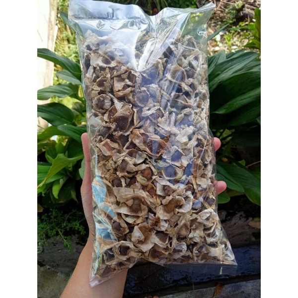 

Biji Kelor Sayap kemasan 100gr