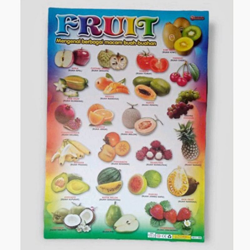 Poster Belajar Buah / Poster Anak / Poster Dinding Edukasi