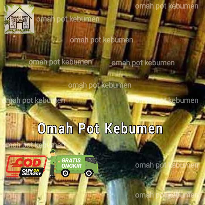 Tali ijuk tali bambu aren serabut hitam