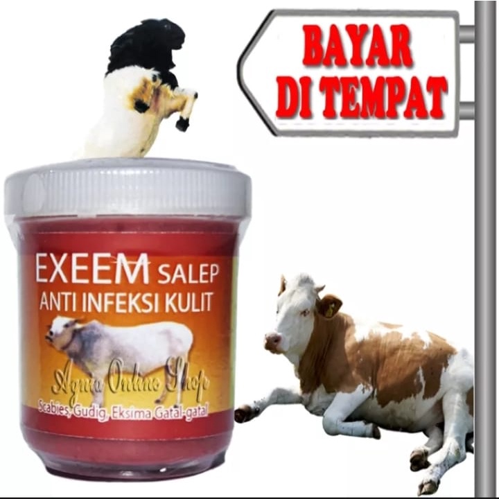 OBAT BOROK KORENG SAPI KAMBING KERBAU ANTI INFEKSI KULIT SALEP EXEEM CREAM AMPUH