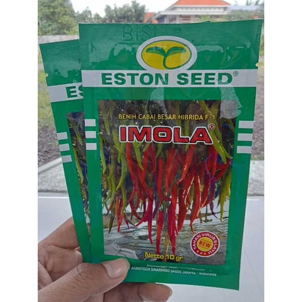 Benih cabe Besar IMOLA NEW F1 isi 10gram