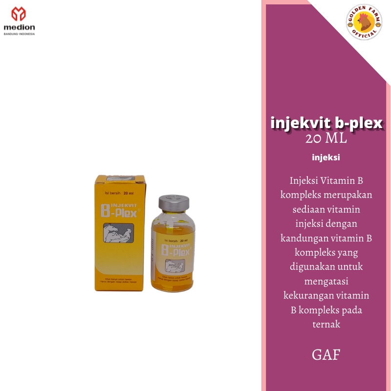 Vitamin B Kompleks Injeksi 20 ml MEDION