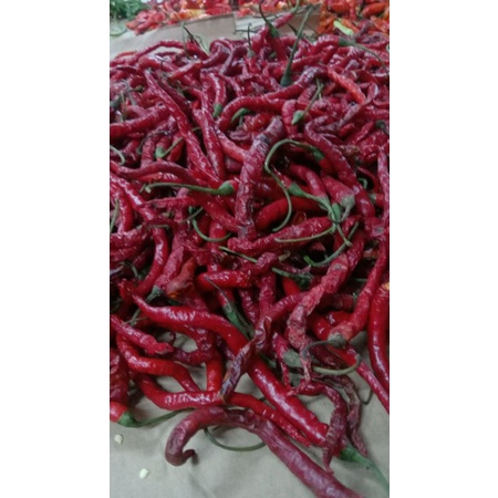 

cabe merah keriting 1kg