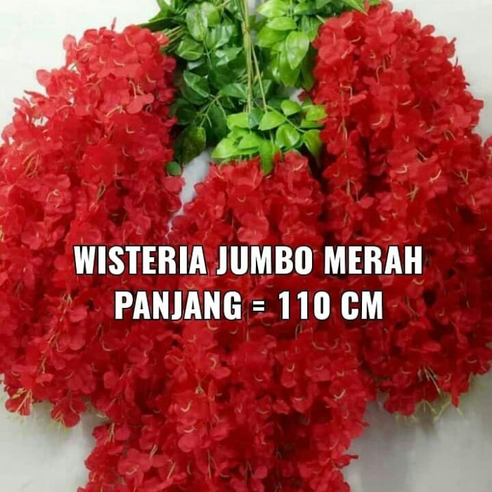 Wisteria Jumbo Putih