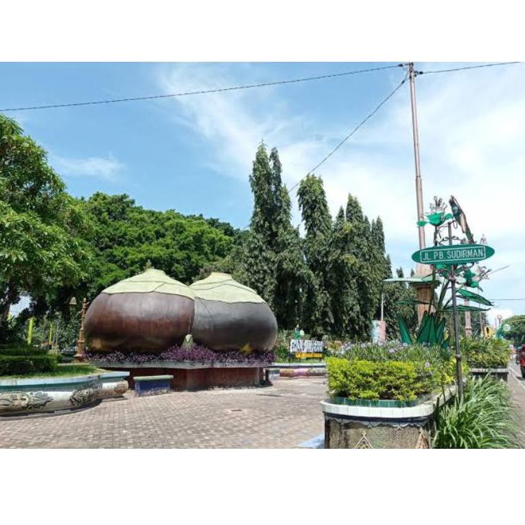 

[R-4T ❤] Buah Siwalan/buah lontar/buah ental khas kota Tuban-langsung kirim