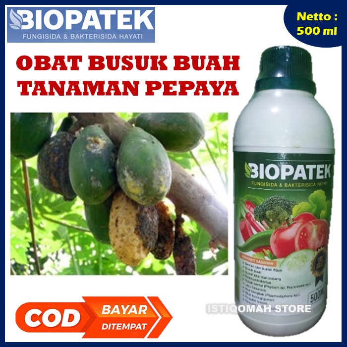 COD MURAH Obat Penyakit Busuk Buah Pepaya Daun dan Batang BIOPATEK 500ML Fungisida dan Bakterisida Hayati Pupuk Obat Semprot Busuk Buah Daun Batang dan Akar Tanaman Pepaya yang Bagus dan Ampuh MURAH Terlaris