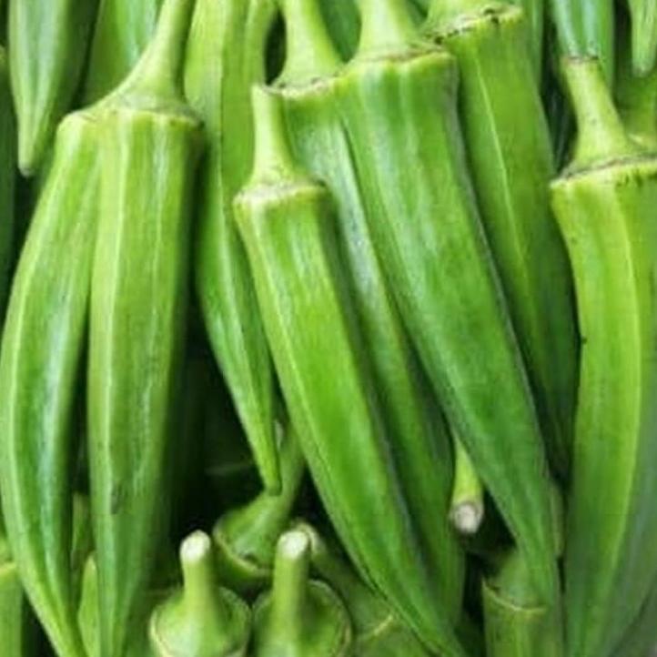 

[PRODUK T0FDG] Okra hijau 500 gram HBE