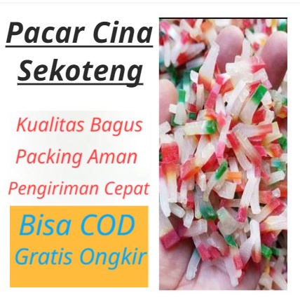 

PACAR CINA 100gr KUALITAS BAGUS / BAHAN UNTUK WEDANG / BAHAN UNTUK KOLAK / BUMBU DAPUR / BAHAN UNTUK ES