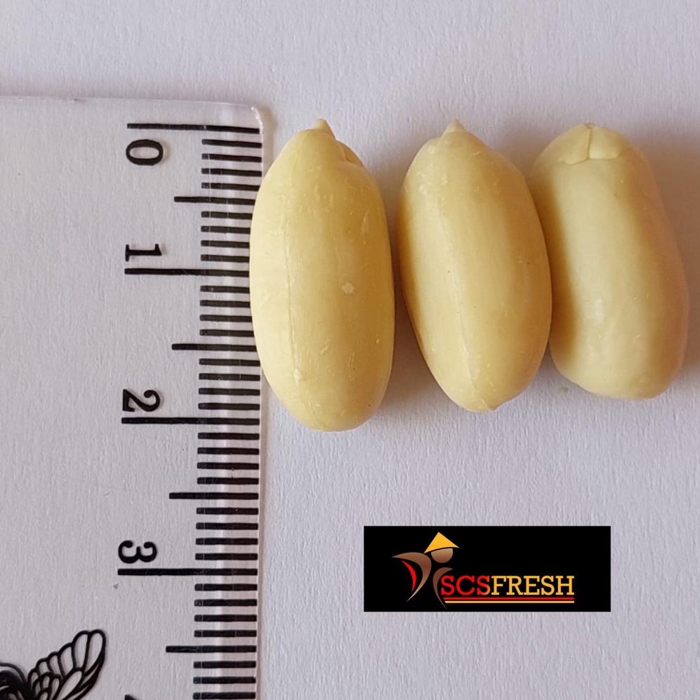 

[PRODUK IWVM8] Kacang Tanah Kupas / Kacang Kupas Super ukuran BESAR/SEDANG/KECIL (1 KG) EYV
