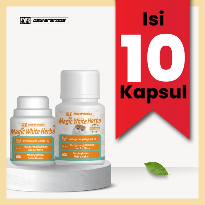 PAKET FLU RINGAN - DEWARANGGA