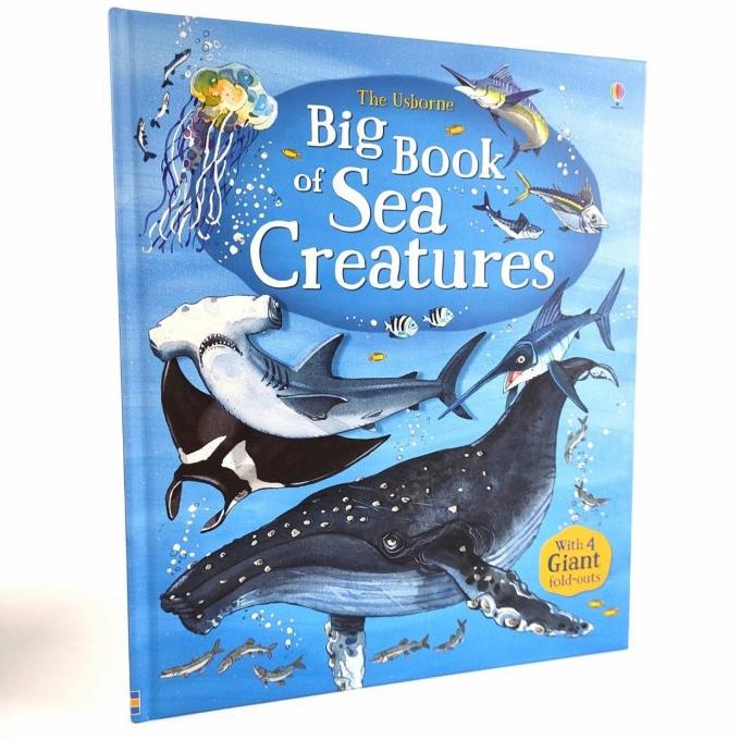 

The Usborne Big book of Sea Creatures