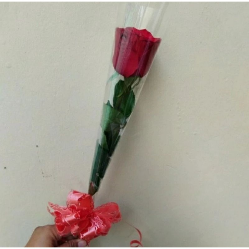 Mawar Merah asli 1 tangkai Asli Fresh
